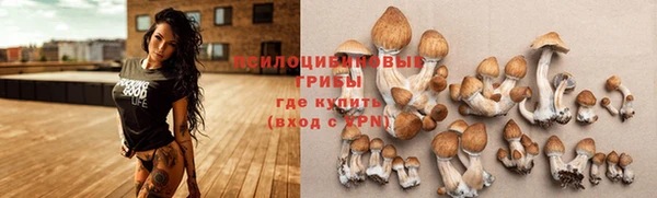 марки nbome Приозерск