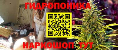 спиды Абинск