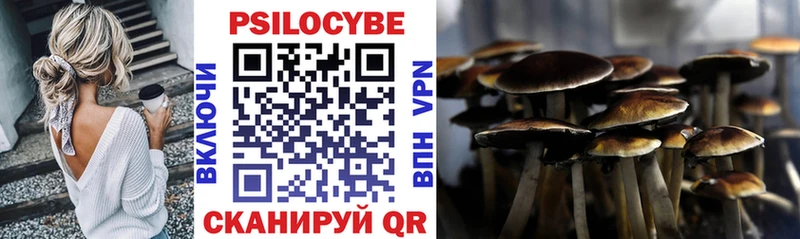 цены наркотик  Апатиты  Псилоцибиновые грибы Psilocybe 